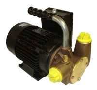Utility P40 Waste Oil Transfer Pump, 1000cSt, 230v