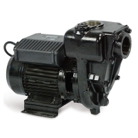 Piusi E300 Diesel Transfer Pump, 230v